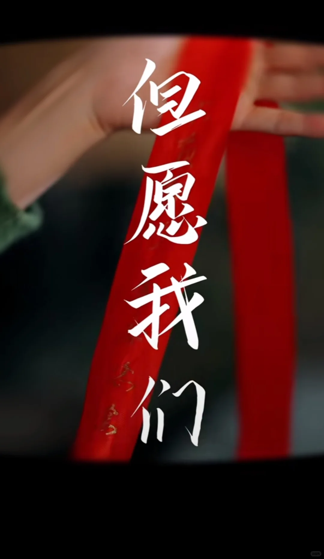 《婚情不负好春光》 短剧推荐！