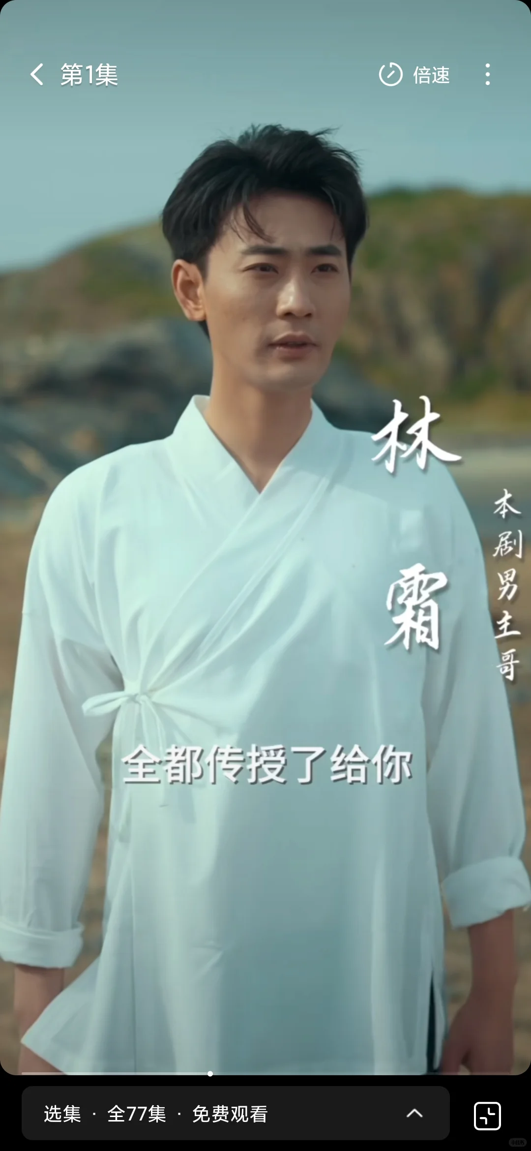 这个剧剧情一般,但是打戏在短国排的上号!