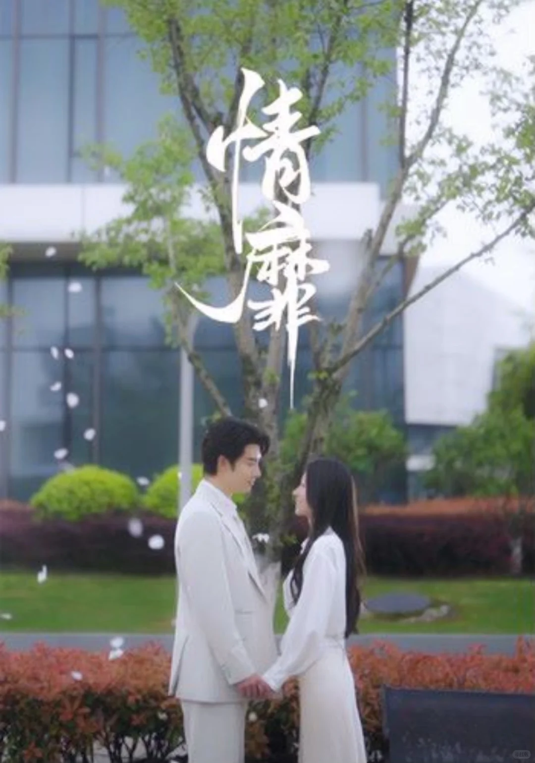 最近看到的几部还不错的竖屏短剧～