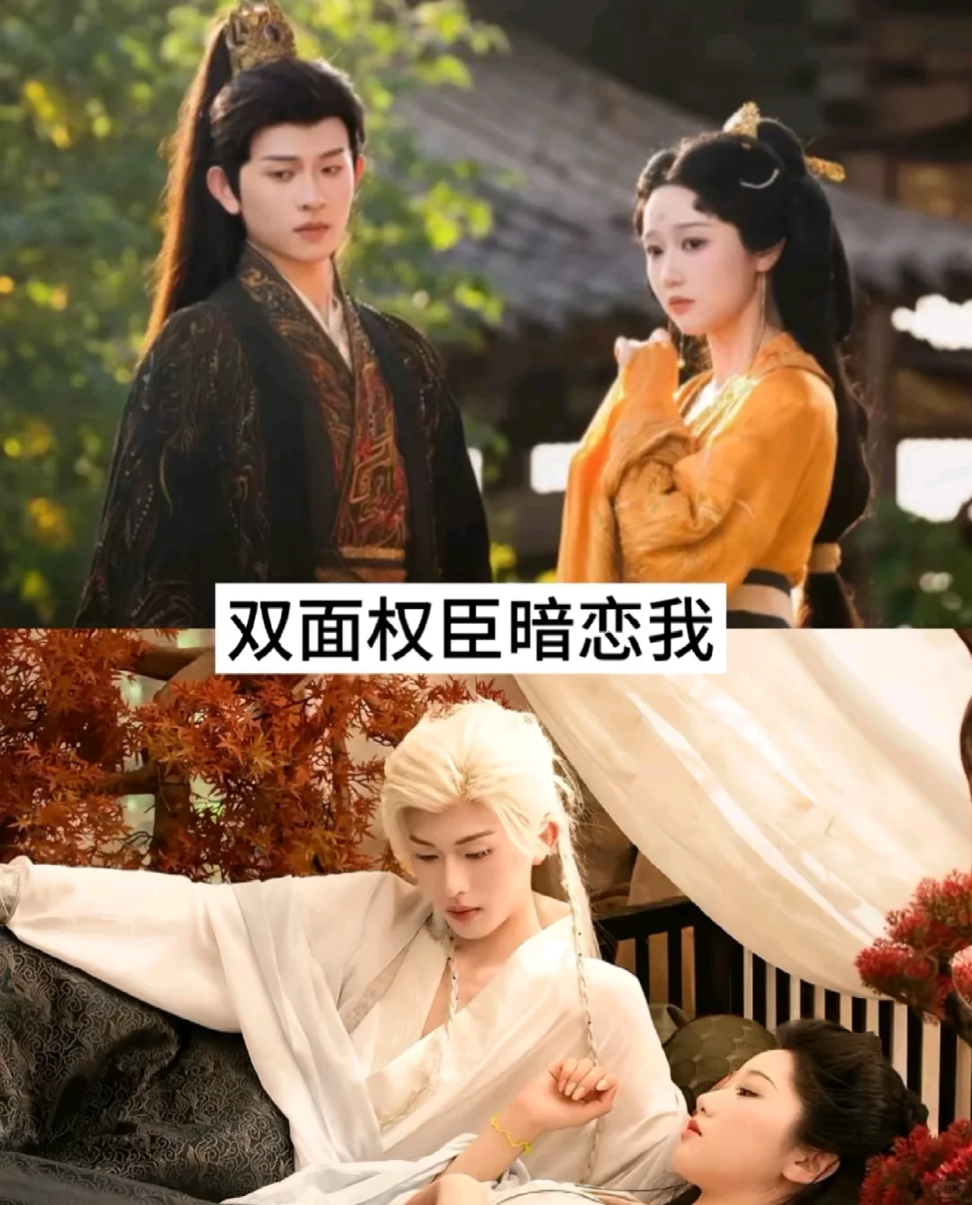 推荐17部百看不厌短剧.