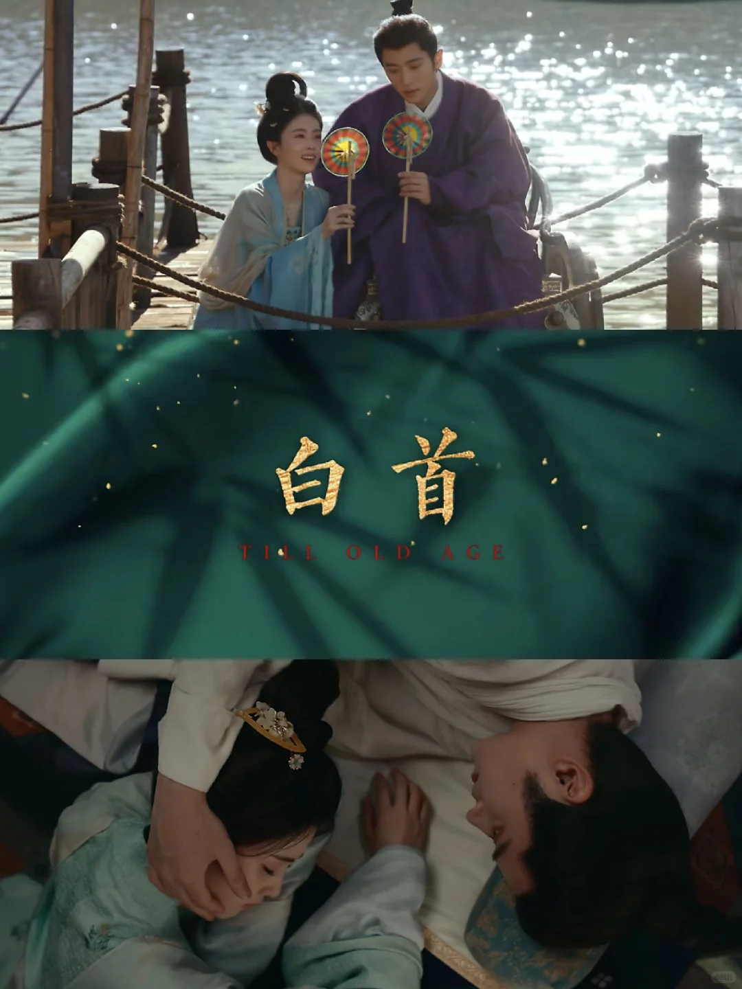 新剧来袭❗️白鹿❌️丞磊 !先婚后爱‼️