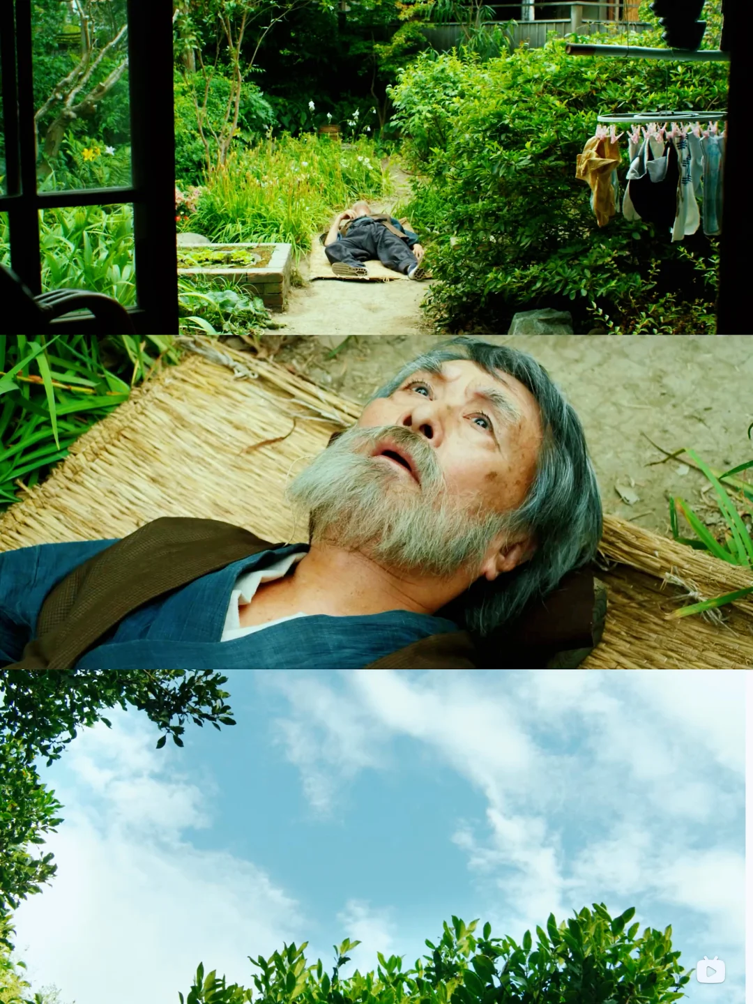 这部电影真的治好了我的焦虑😭