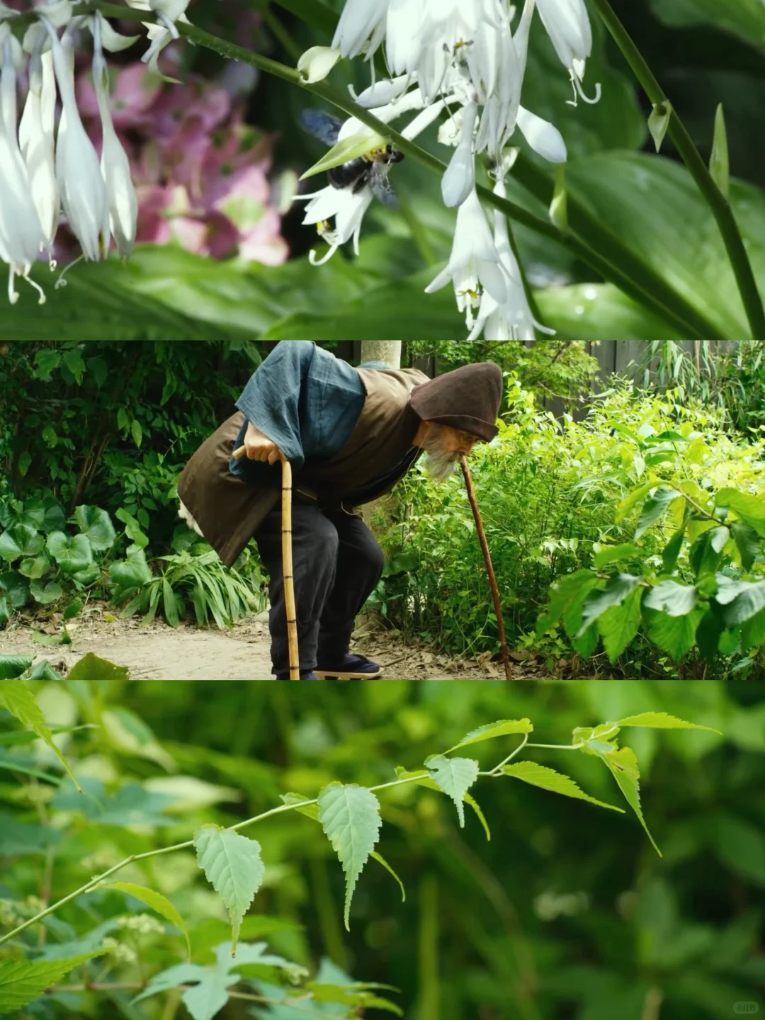 这部电影真的治好了我的焦虑😭