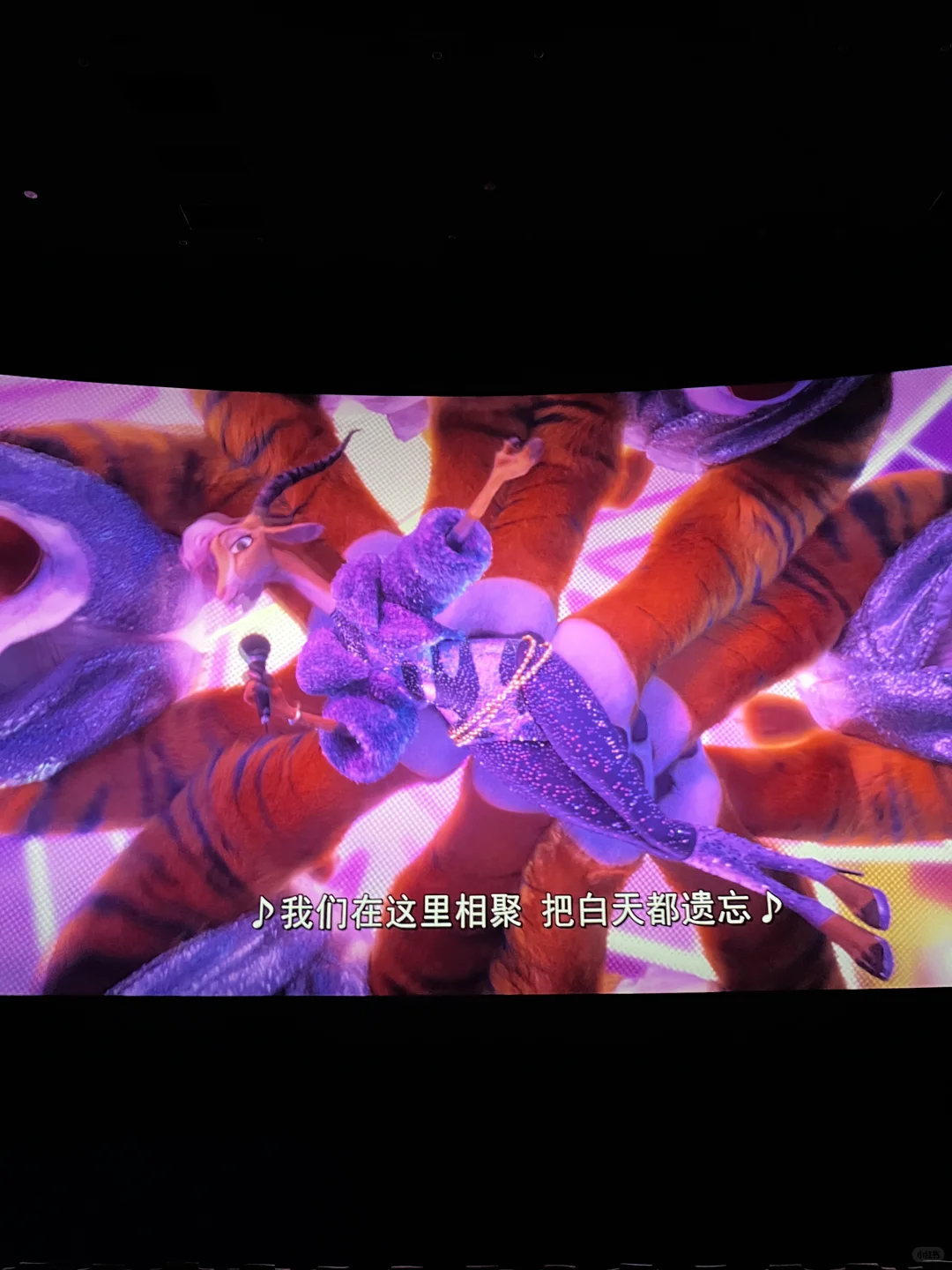 疯狂动物城2是谁到现在才看啊