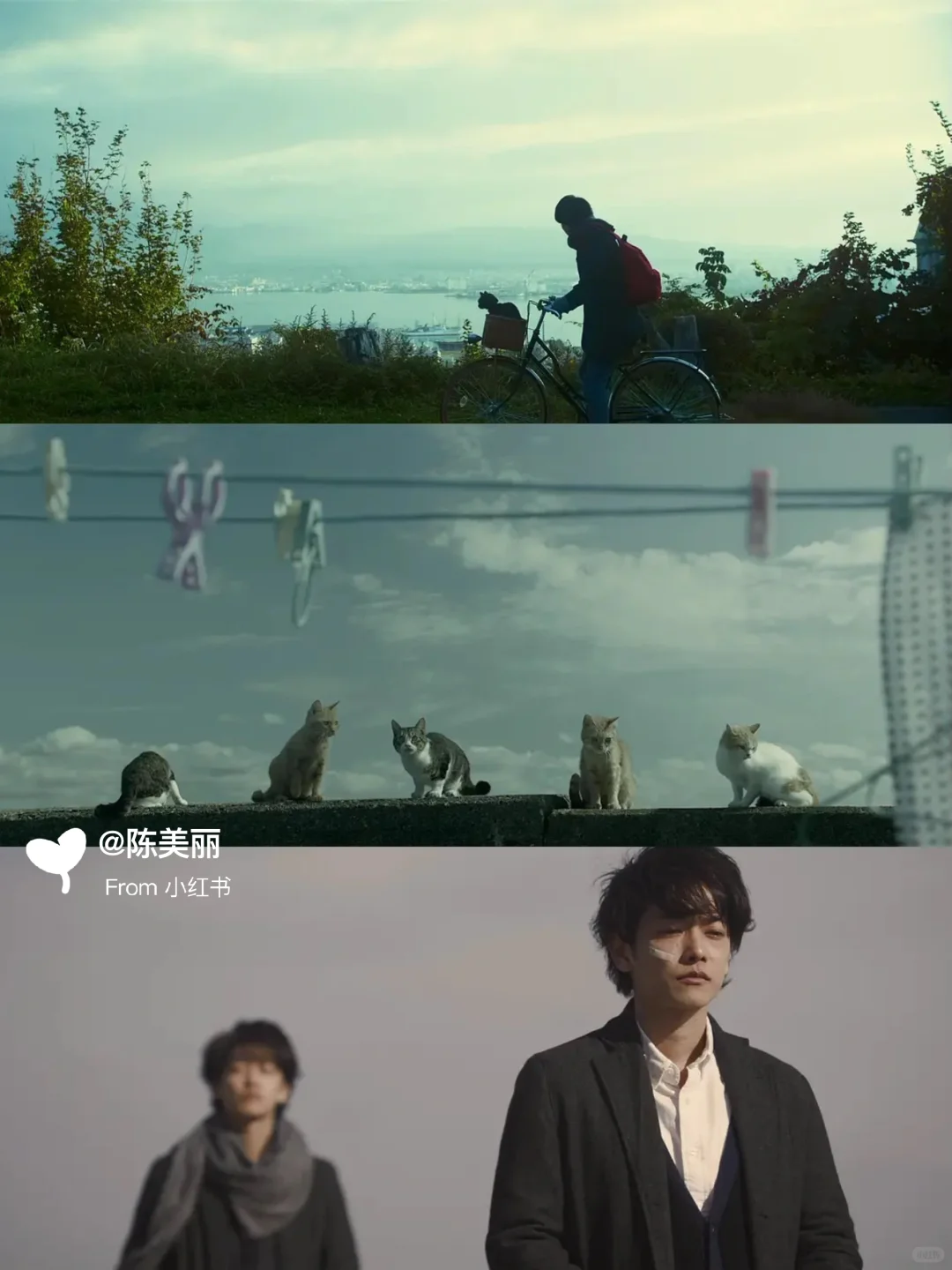 ✨周末观影｜适合窝在沙发看的日本电影清单🍿