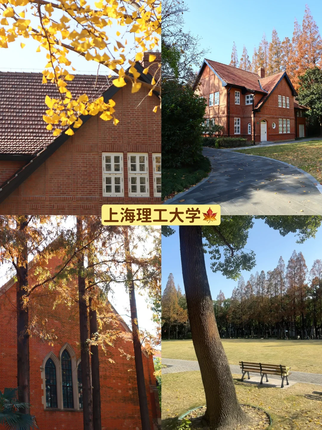 上海|秋天的美拉德大学🍂