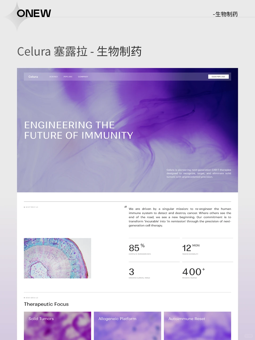 高端网站建设 | 恭喜你刷到了天花板🔥