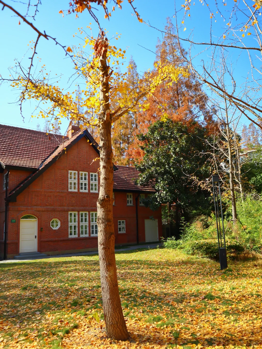 上海|秋天的美拉德大学🍂