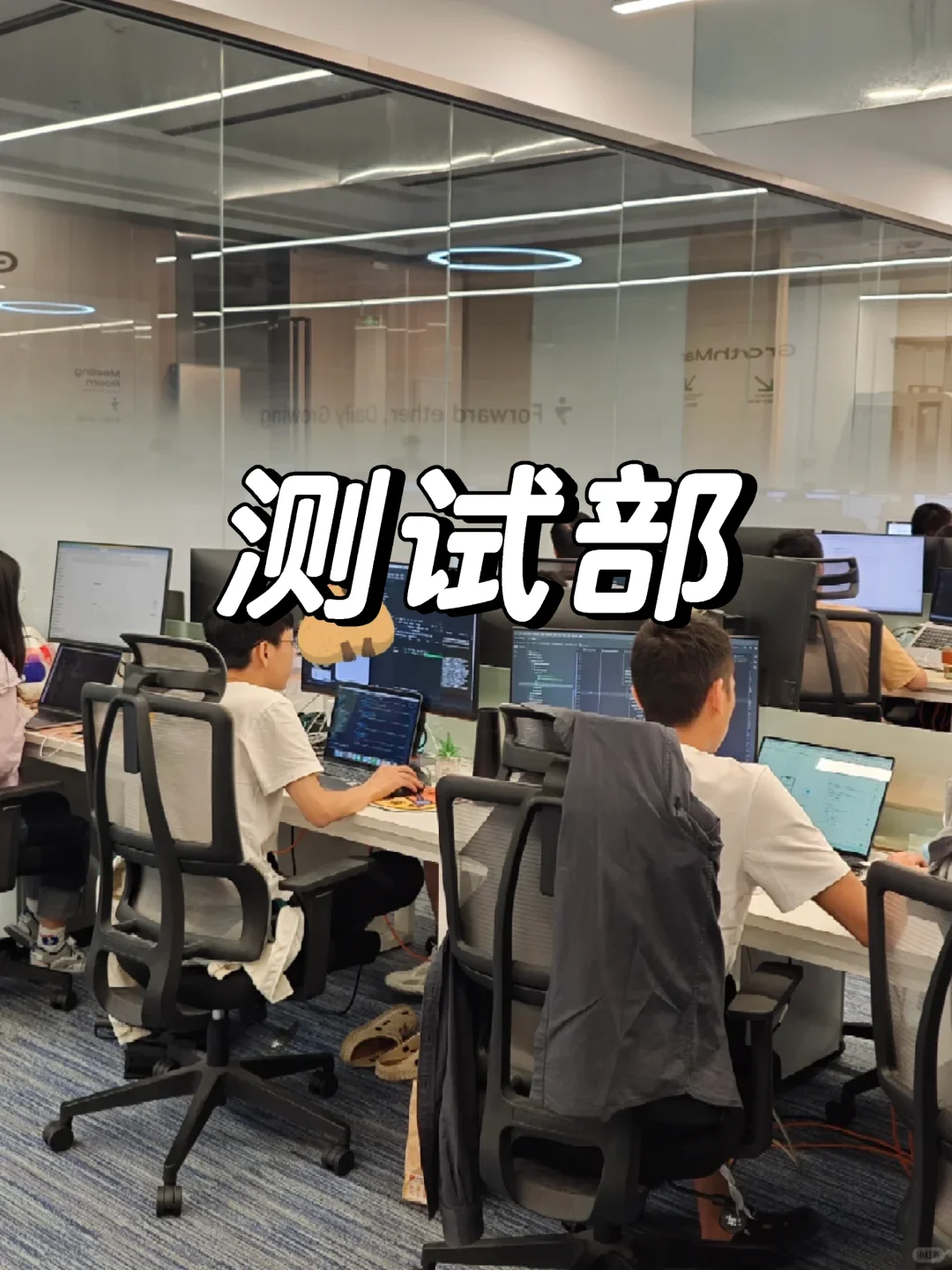 公司新来的测试女生,真的是效率天花板