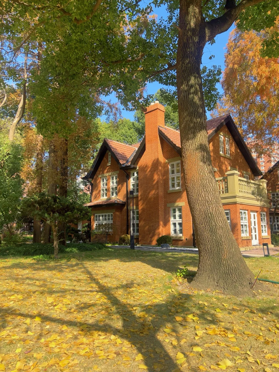 上海|秋天的美拉德大学🍂