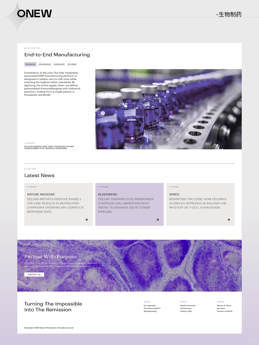 高端网站建设 | 恭喜你刷到了天花板🔥