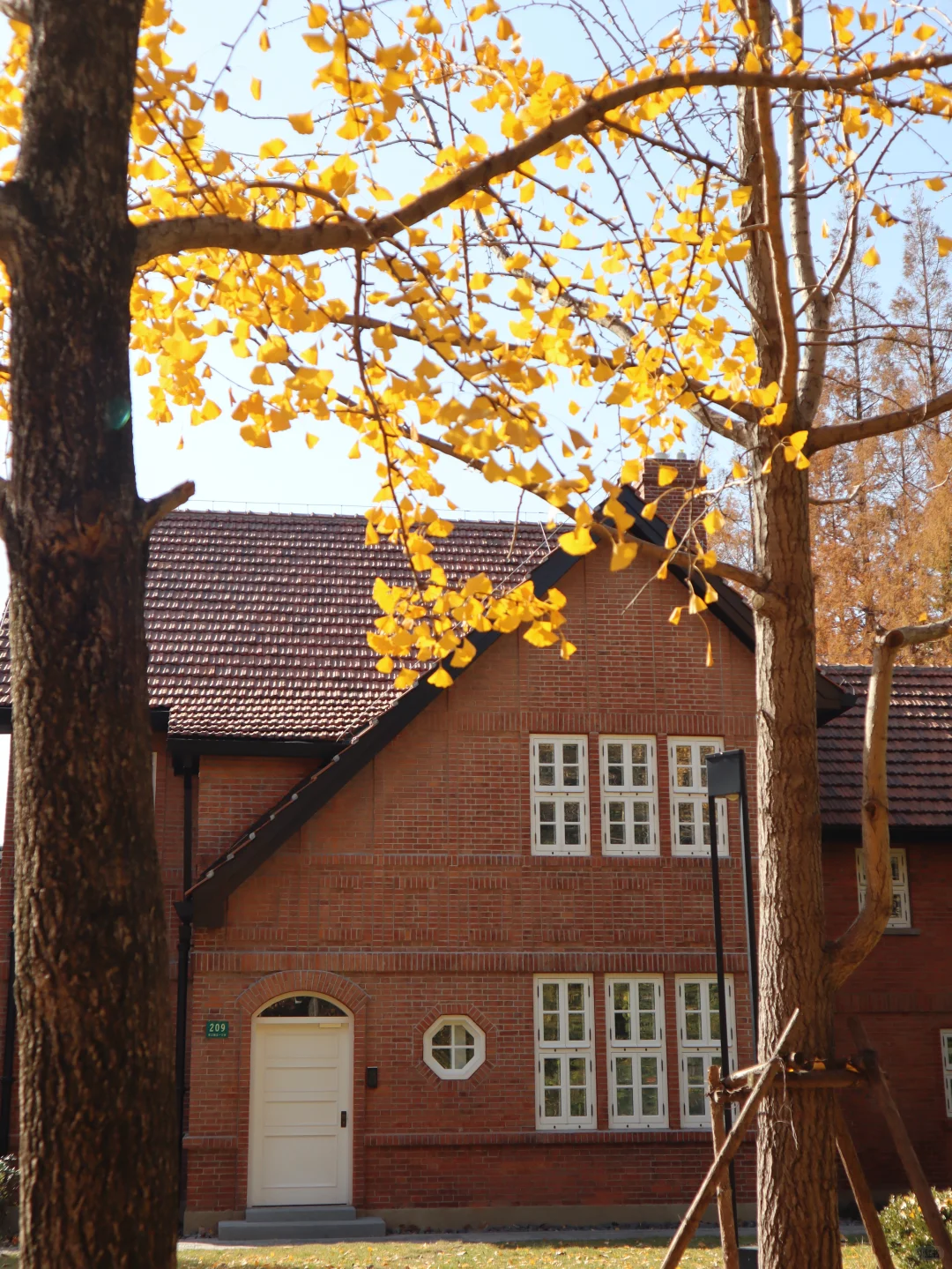 上海|秋天的美拉德大学🍂