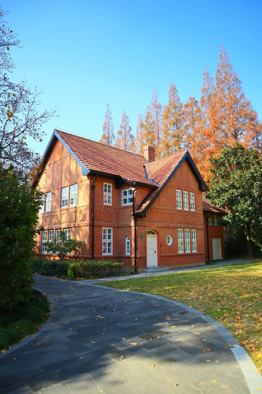 上海|秋天的美拉德大学🍂