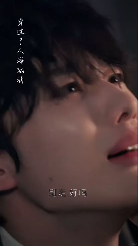 8.7🌟啊!好茶一只小🐶~(多图预警)