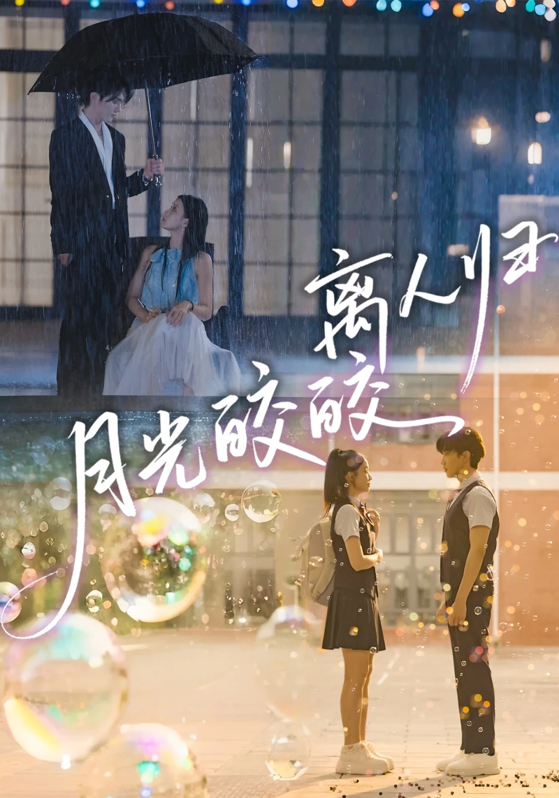 12.11丨就是这么多~能有什么办法~自选吧~