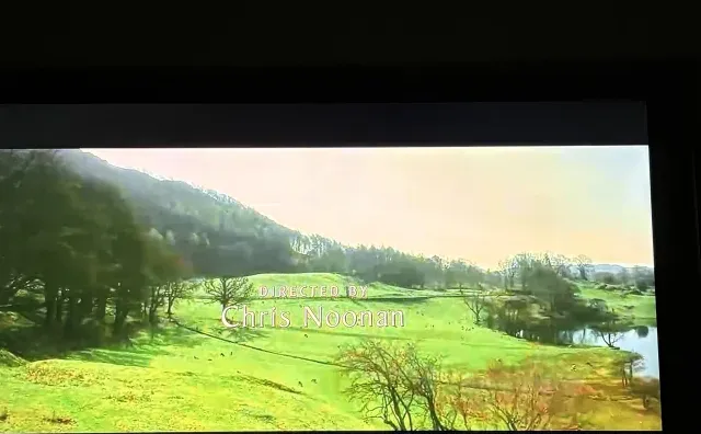 阴天窝着看电影，很治愈