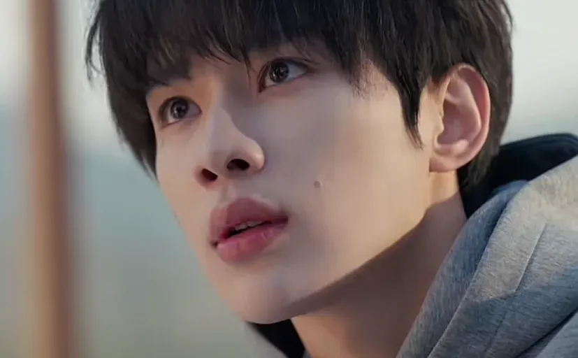 8.7🌟啊!好茶一只小🐶~(多图预警)