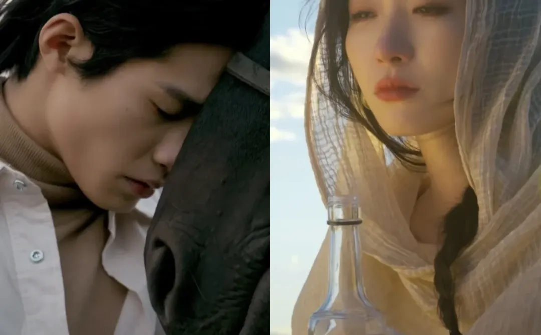 这部挺好,但我也能懂为什么不火