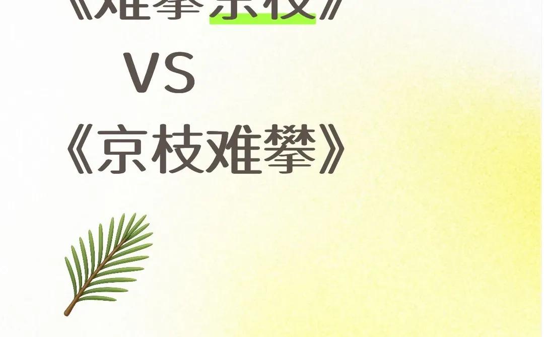 报告❗️❗️第9️⃣份短剧作业已完成!!