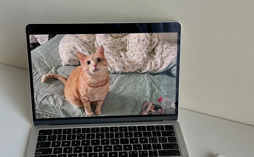 新买的MacBook不会用?跟我一起入门吧!