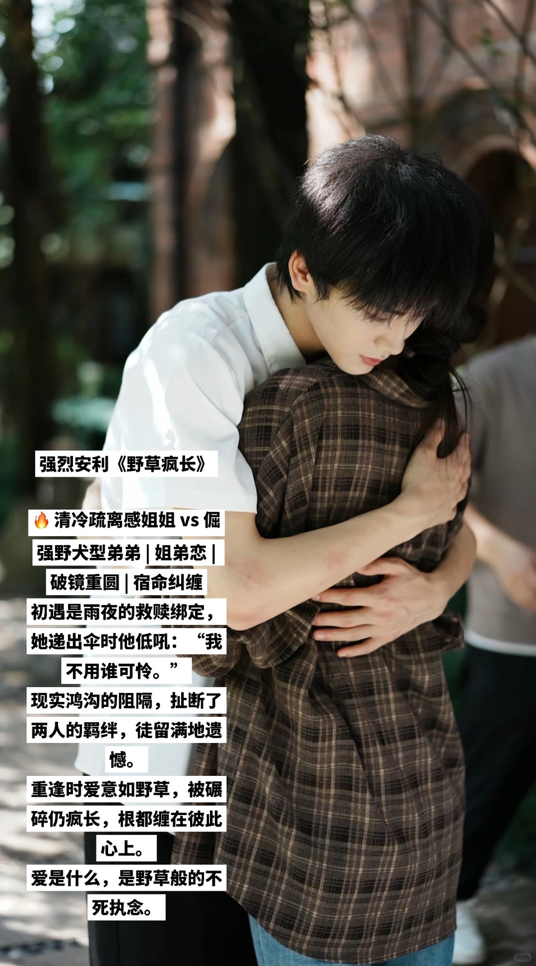 适合N刷的宝藏短剧📺