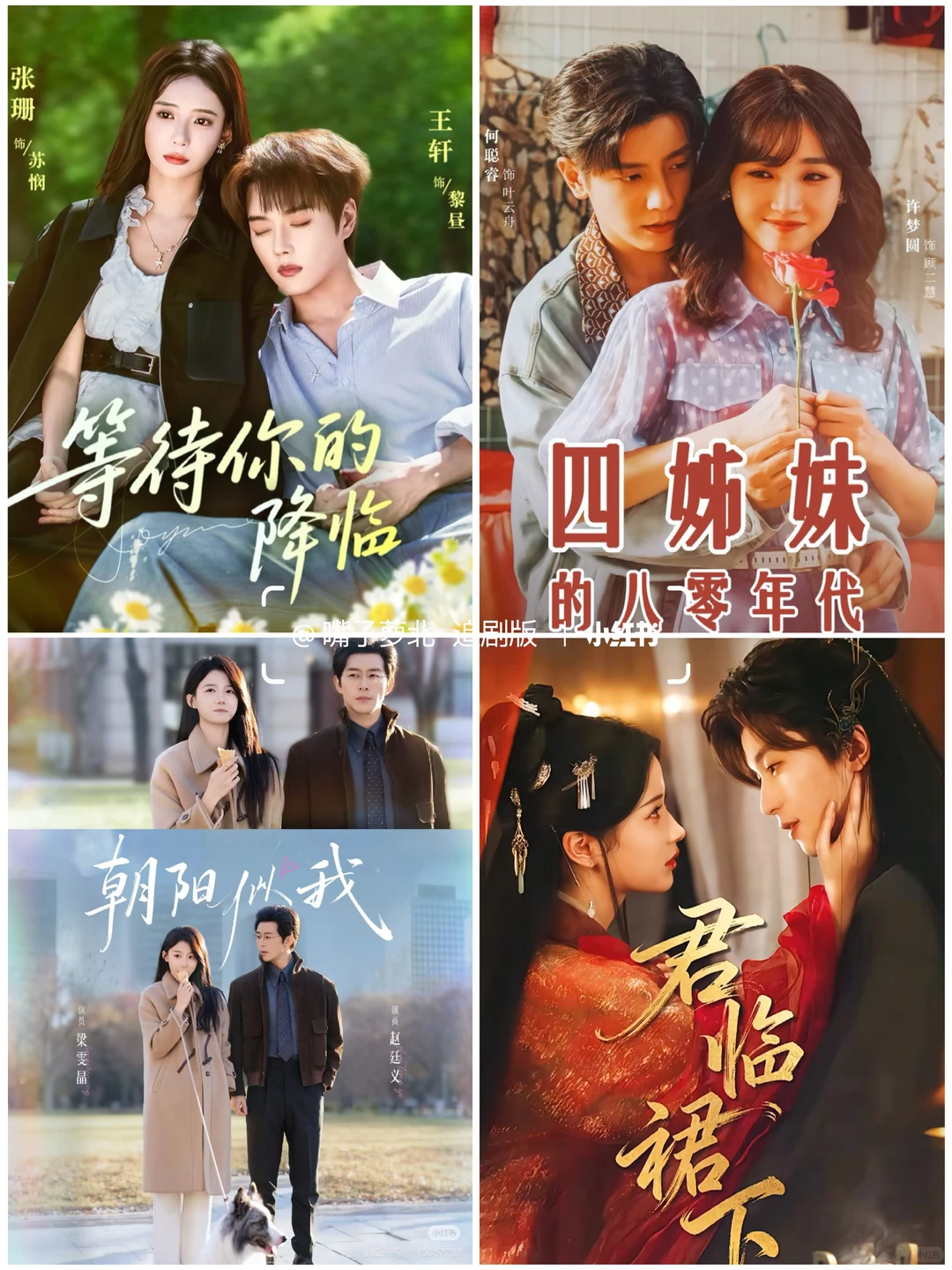 12月11日短剧预告