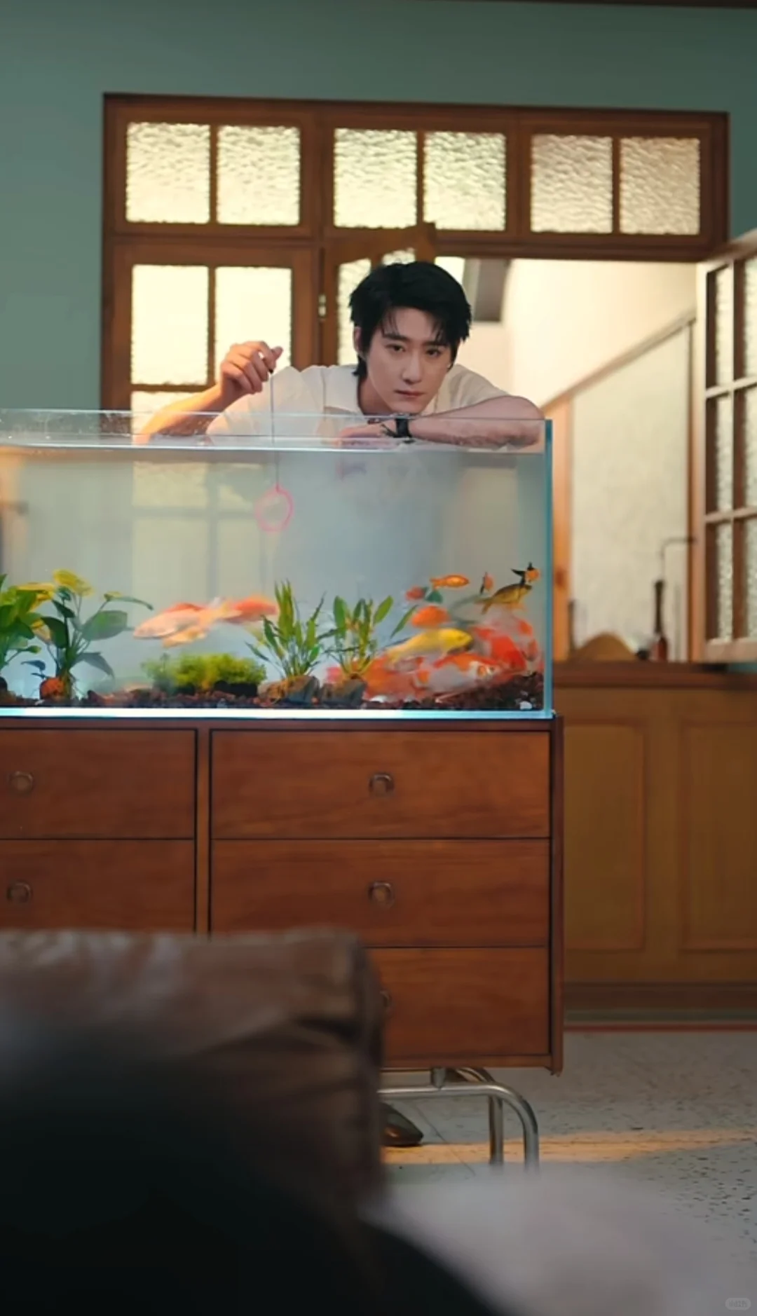 近日观看短剧推荐,