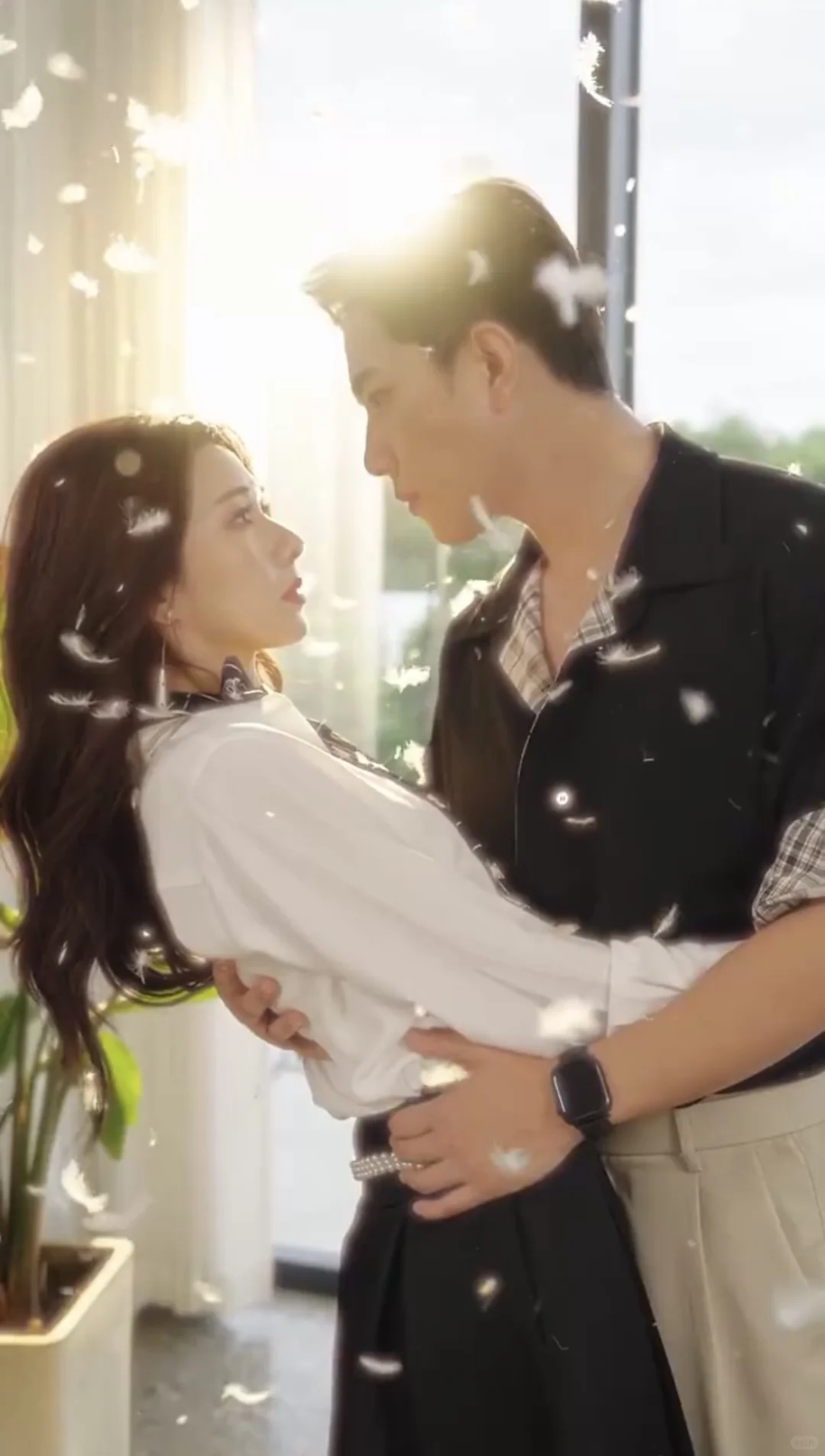 高甜本36.0～恋综CP磕BE了，他俩竟复婚了