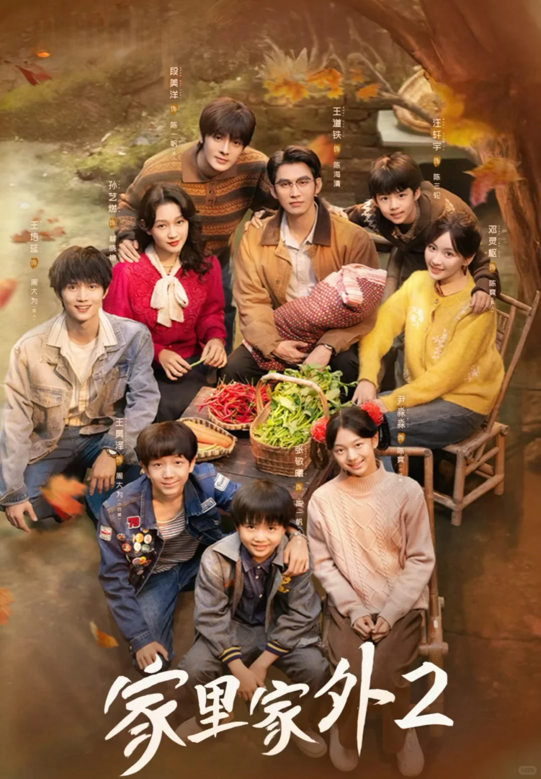 短剧推荐——《家里家外》1&2