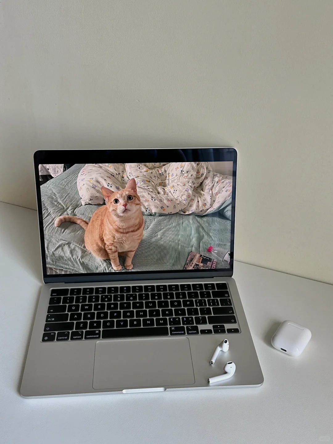 新买的MacBook不会用?跟我一起入门吧!