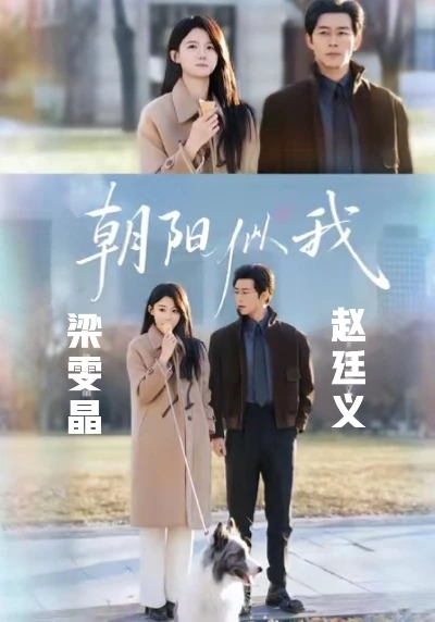 赵廷义精英&傲娇反差萌 女主成长型新剧