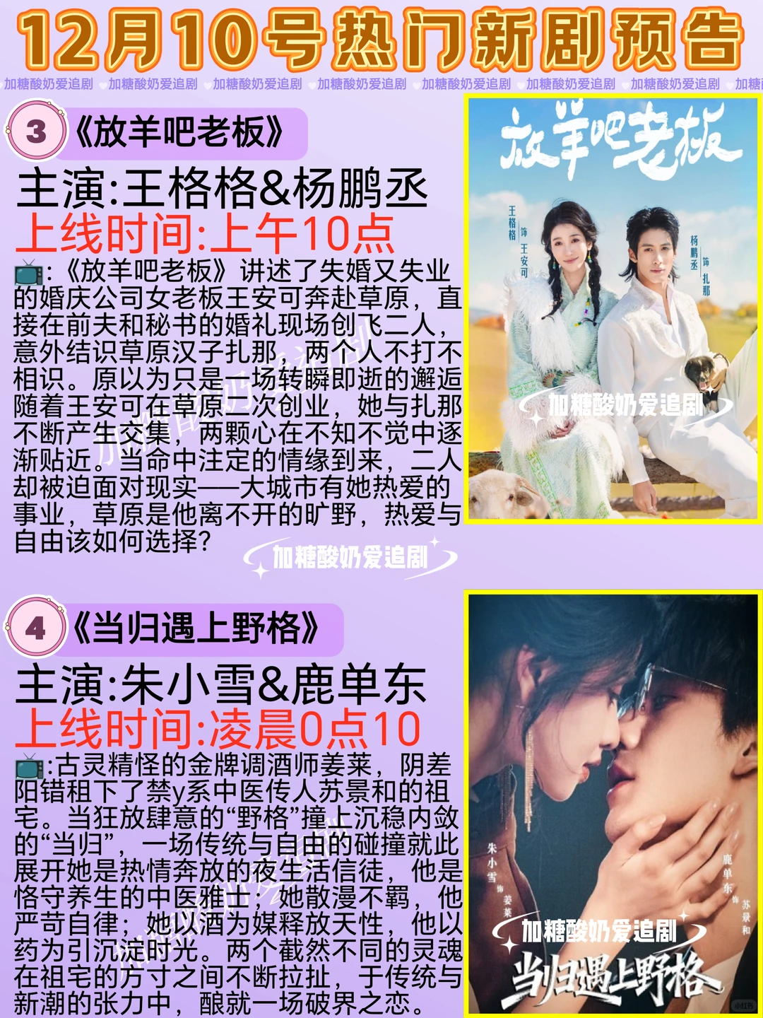 天花板短剧💥12月10日热门短剧预告