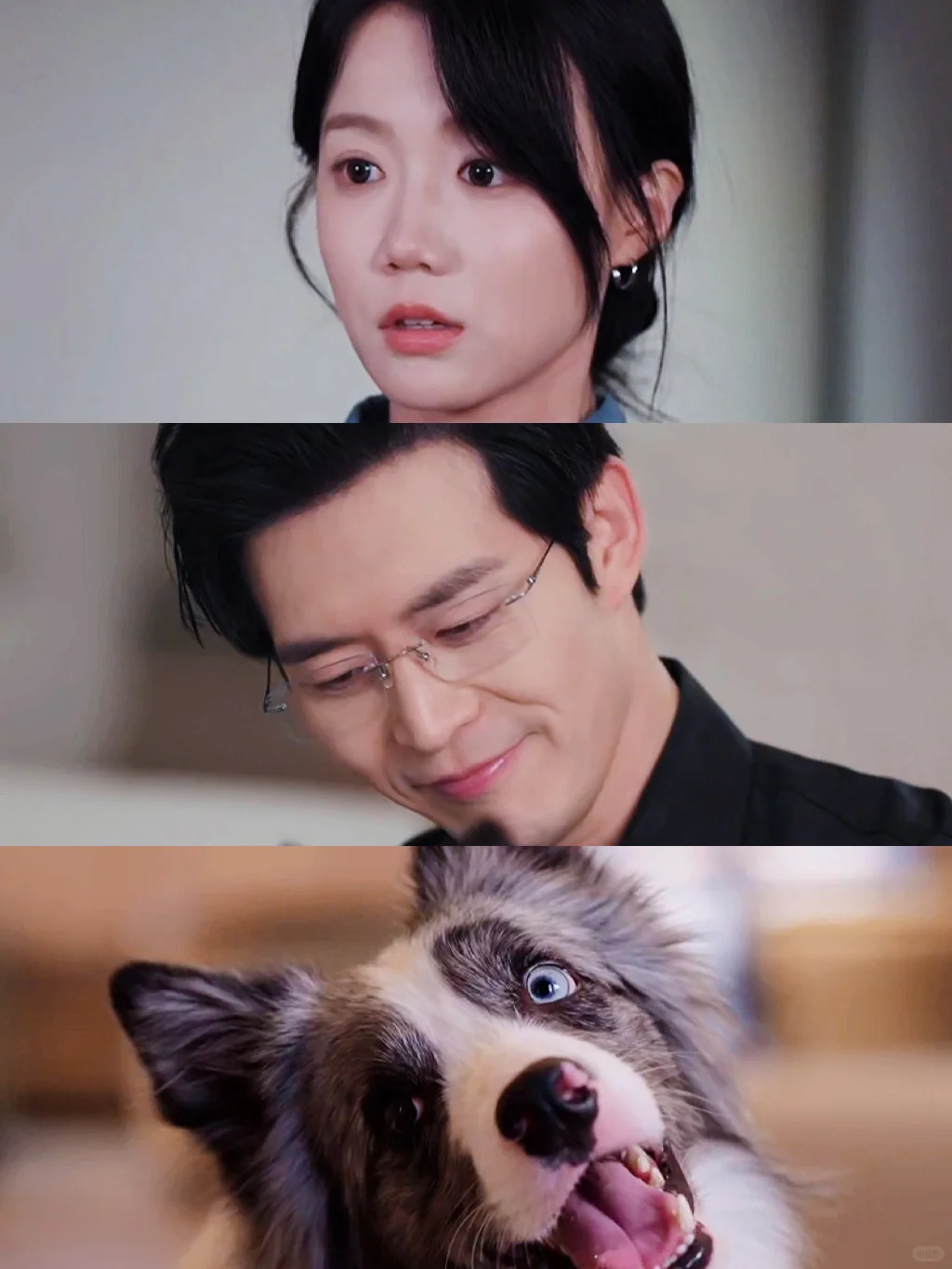 我应该是被职场剧治愈第一人吧？