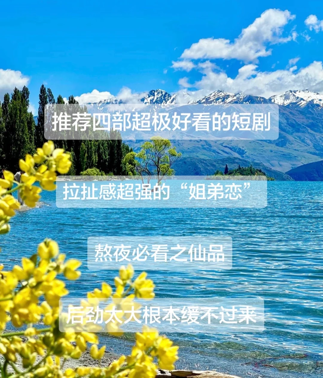 适合N刷的宝藏短剧📺