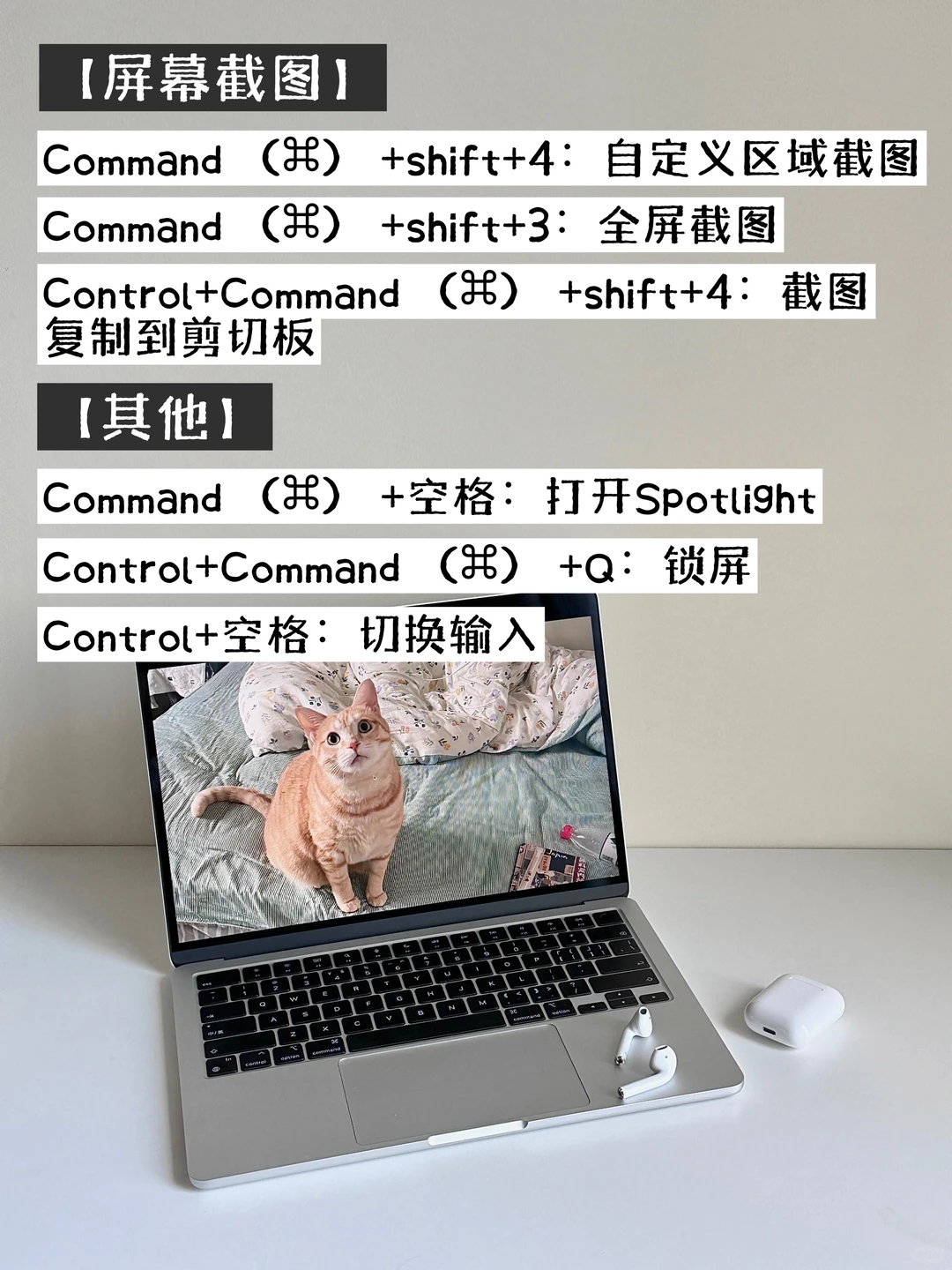 新买的MacBook不会用?跟我一起入门吧!