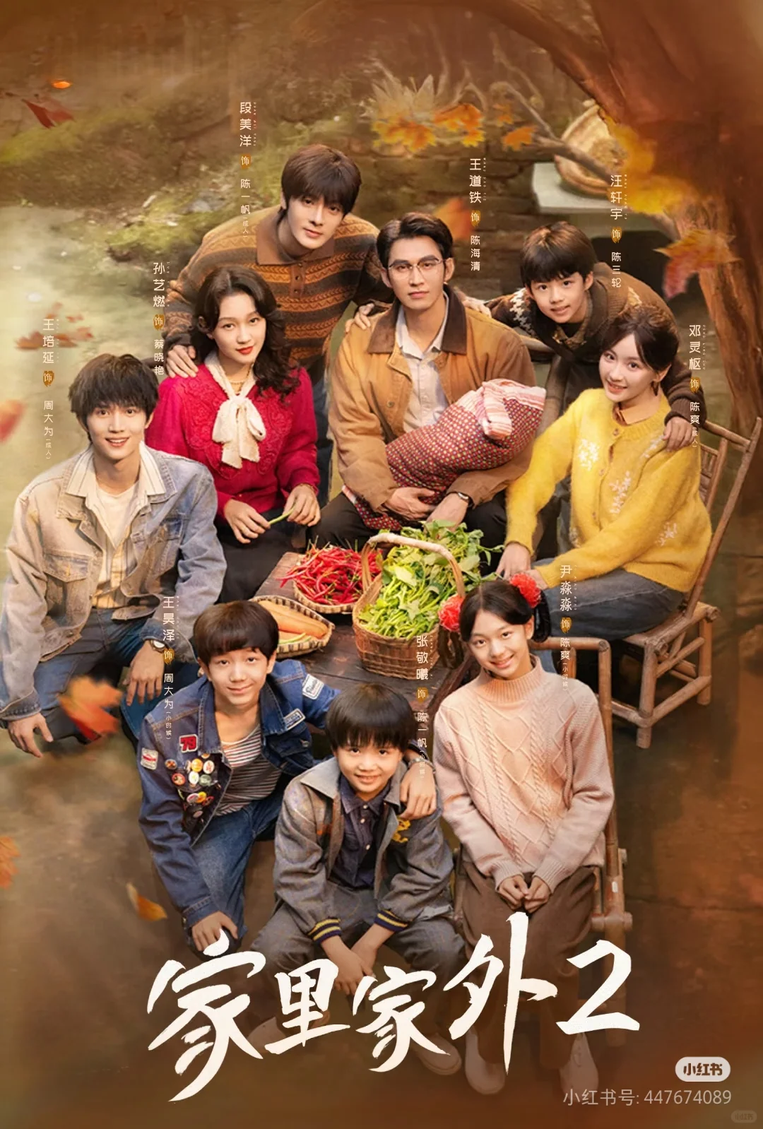 这家里家外2,真的好好看啊!!