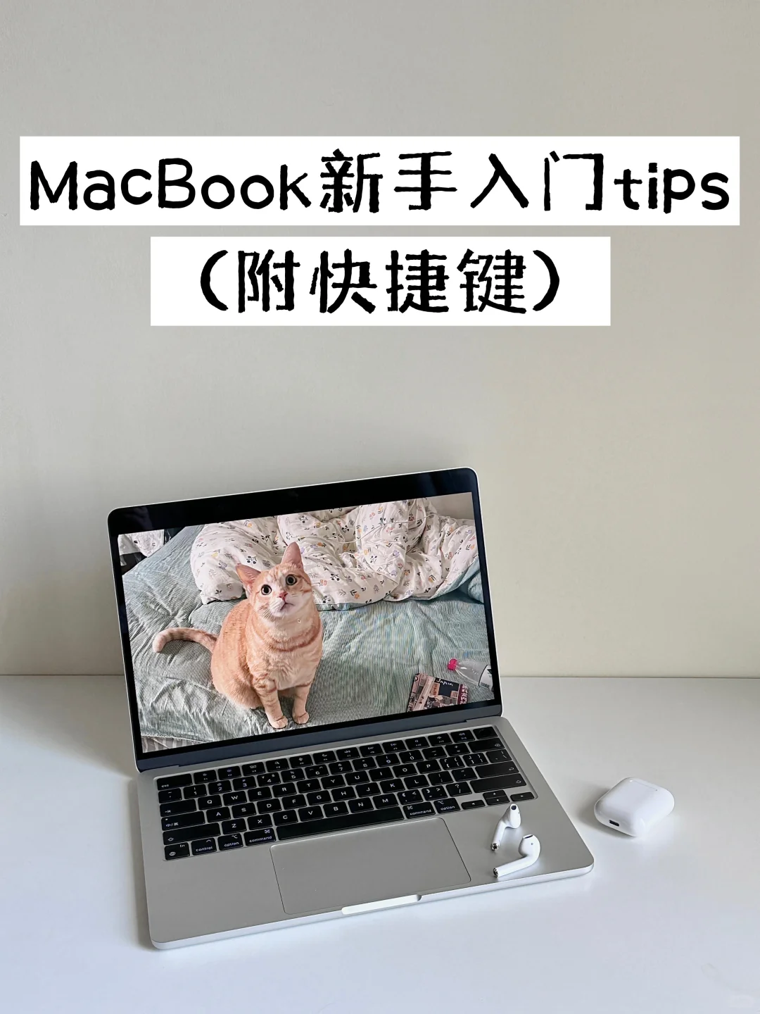 新买的MacBook不会用?跟我一起入门吧!