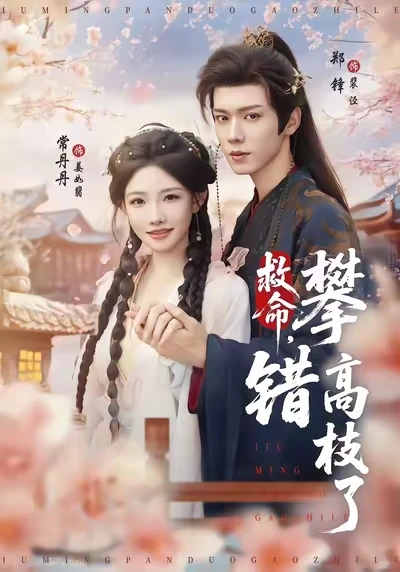 郑峰古装短剧合集！颜控天堂速进🔥