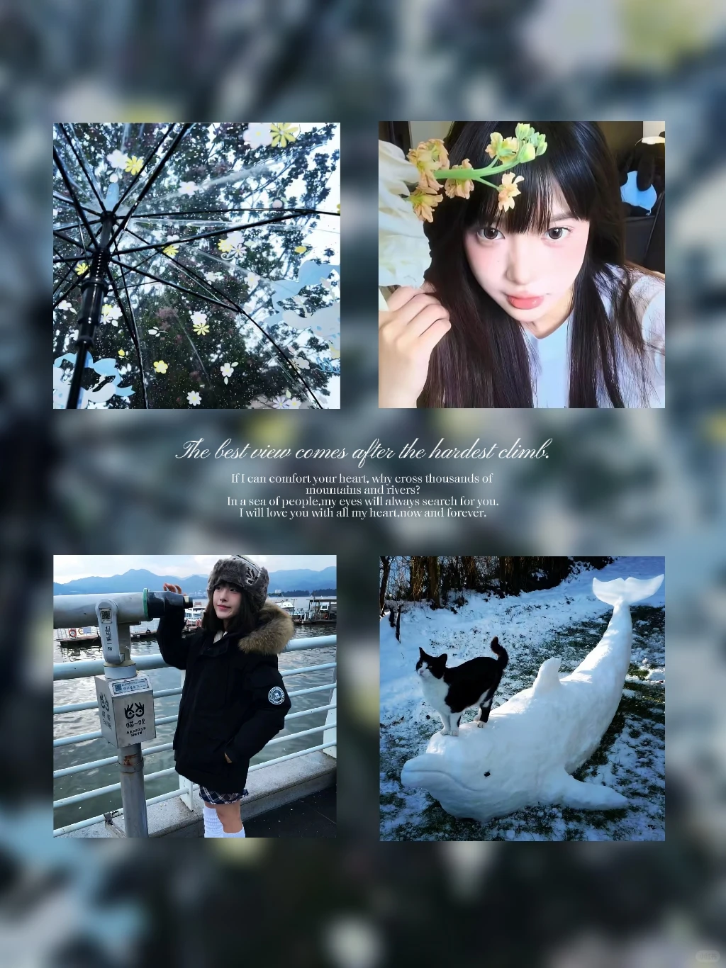 𝑾𝒆𝑪𝒉𝒂𝒕｜小众女头