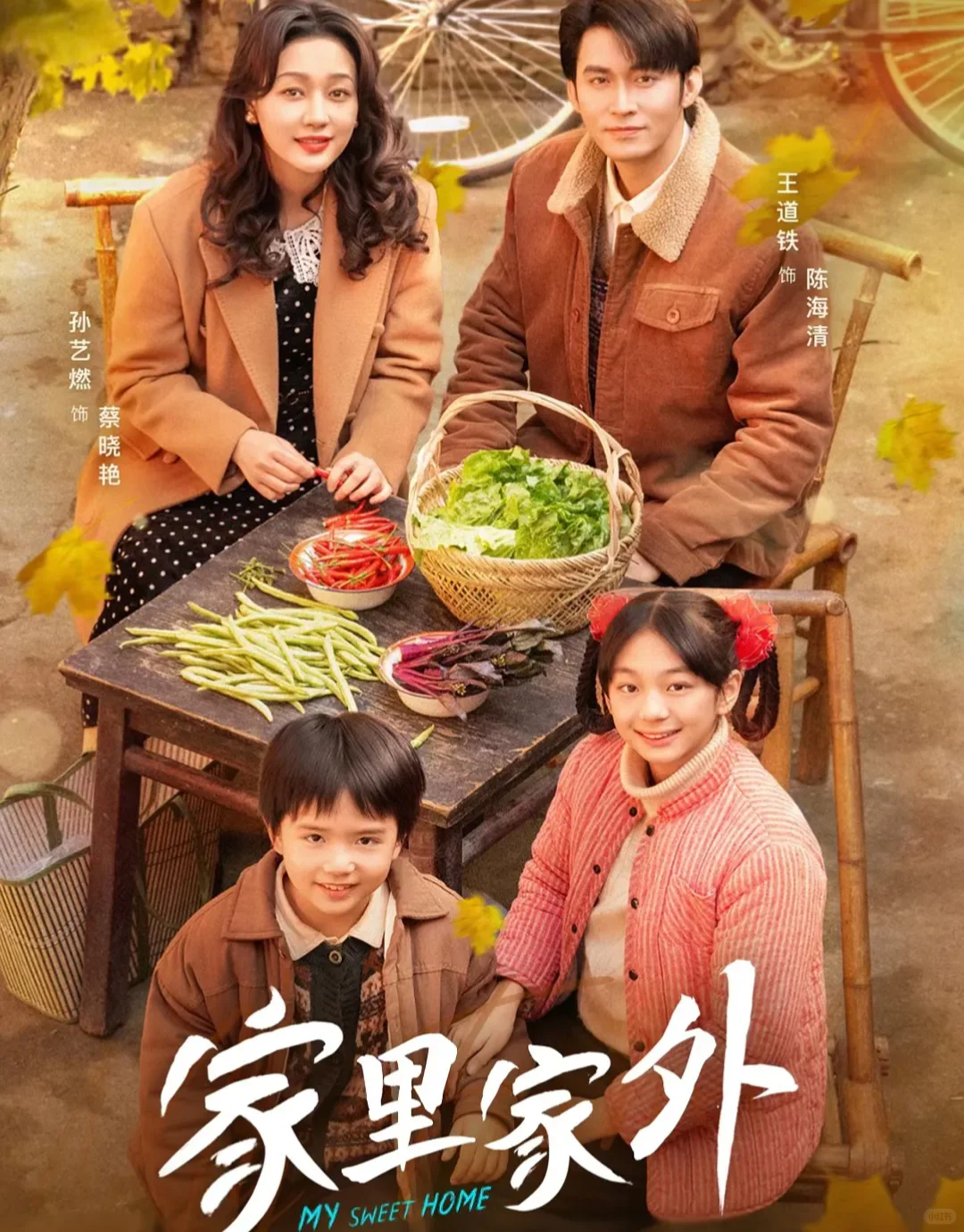 短剧推荐——《家里家外》1&2