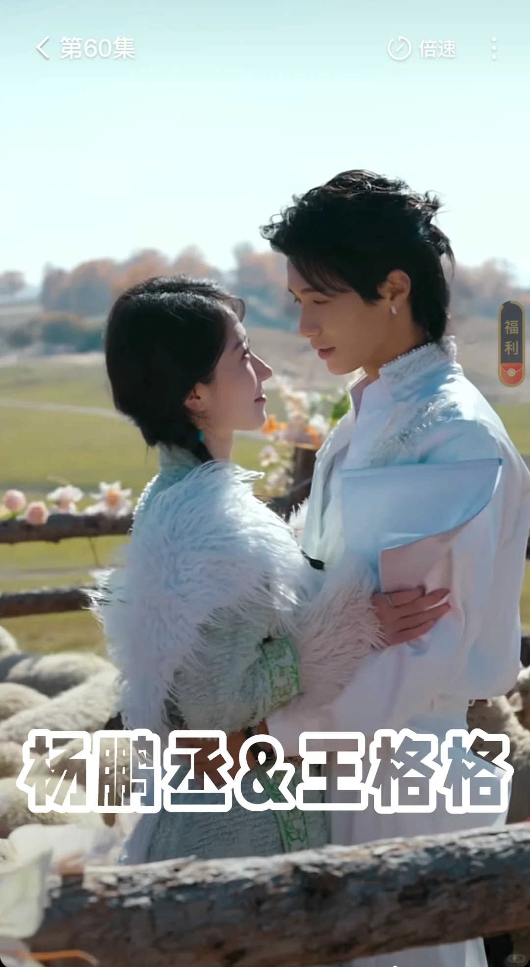 草原治愈短剧:放羊吧老板【杨鹏丞✖️王格格】