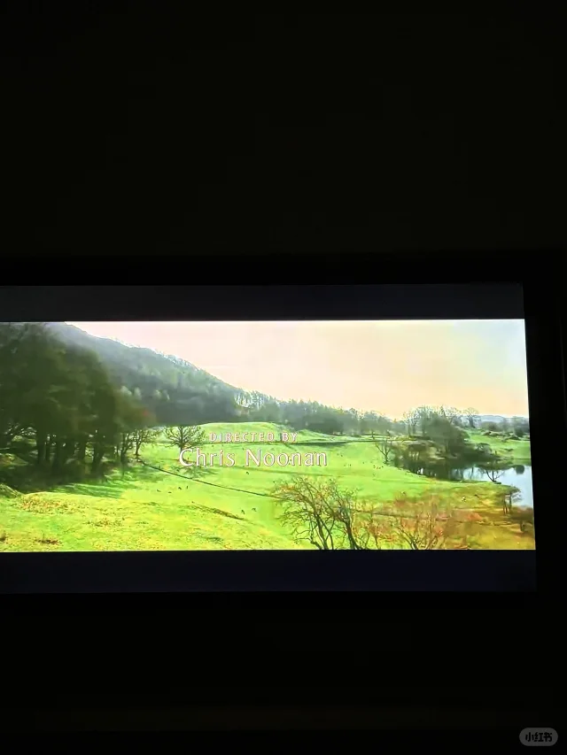 阴天窝着看电影，很治愈