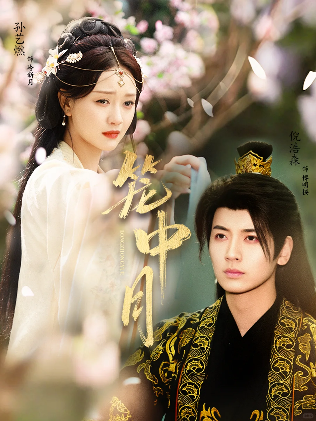 12.11丨就是这么多~能有什么办法~自选吧~