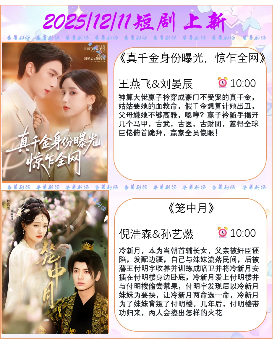 📺2025/12/11短剧上新