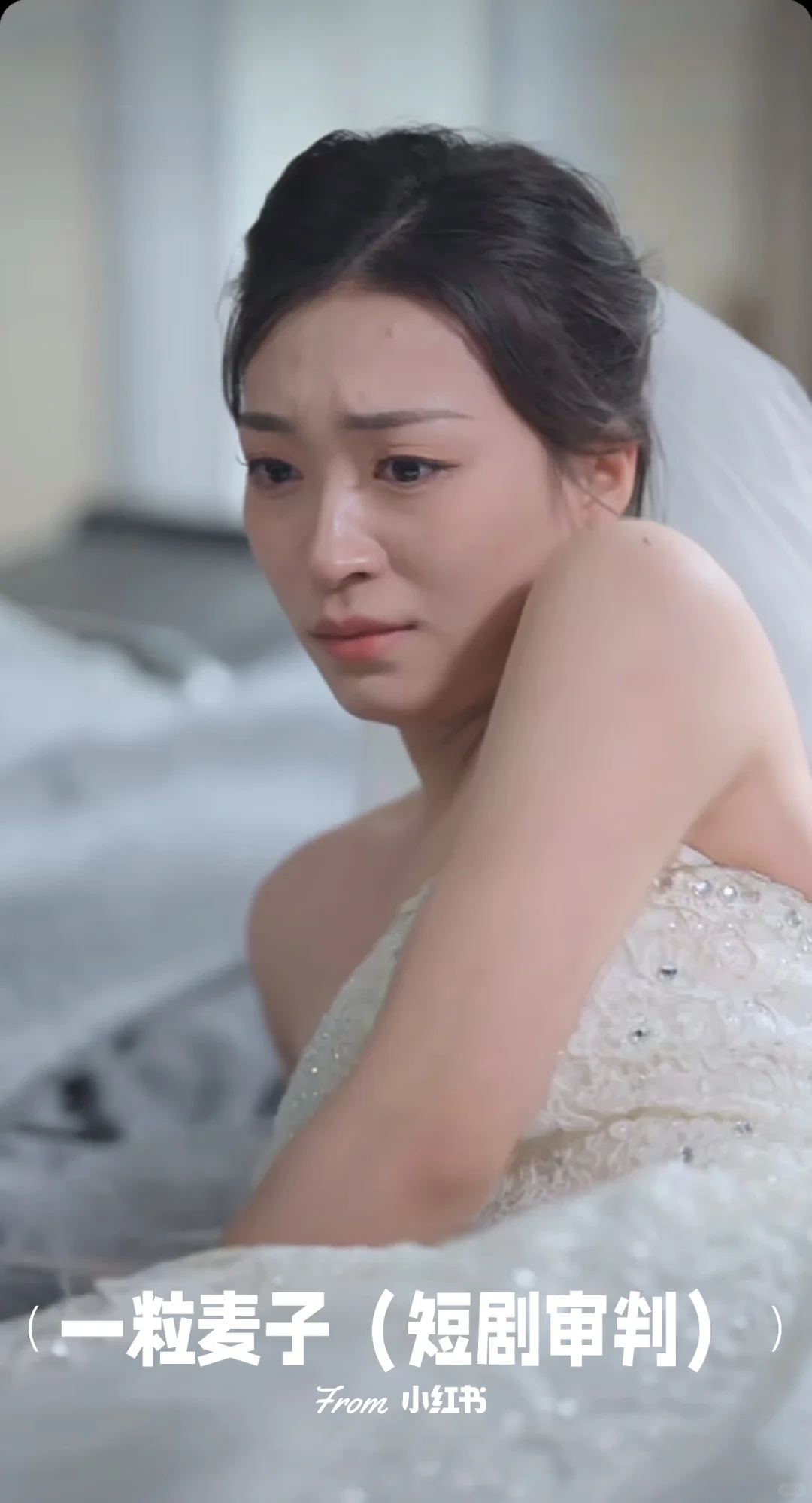 故事向❗复仇智商在线❗以他为刀❗他超爱❗