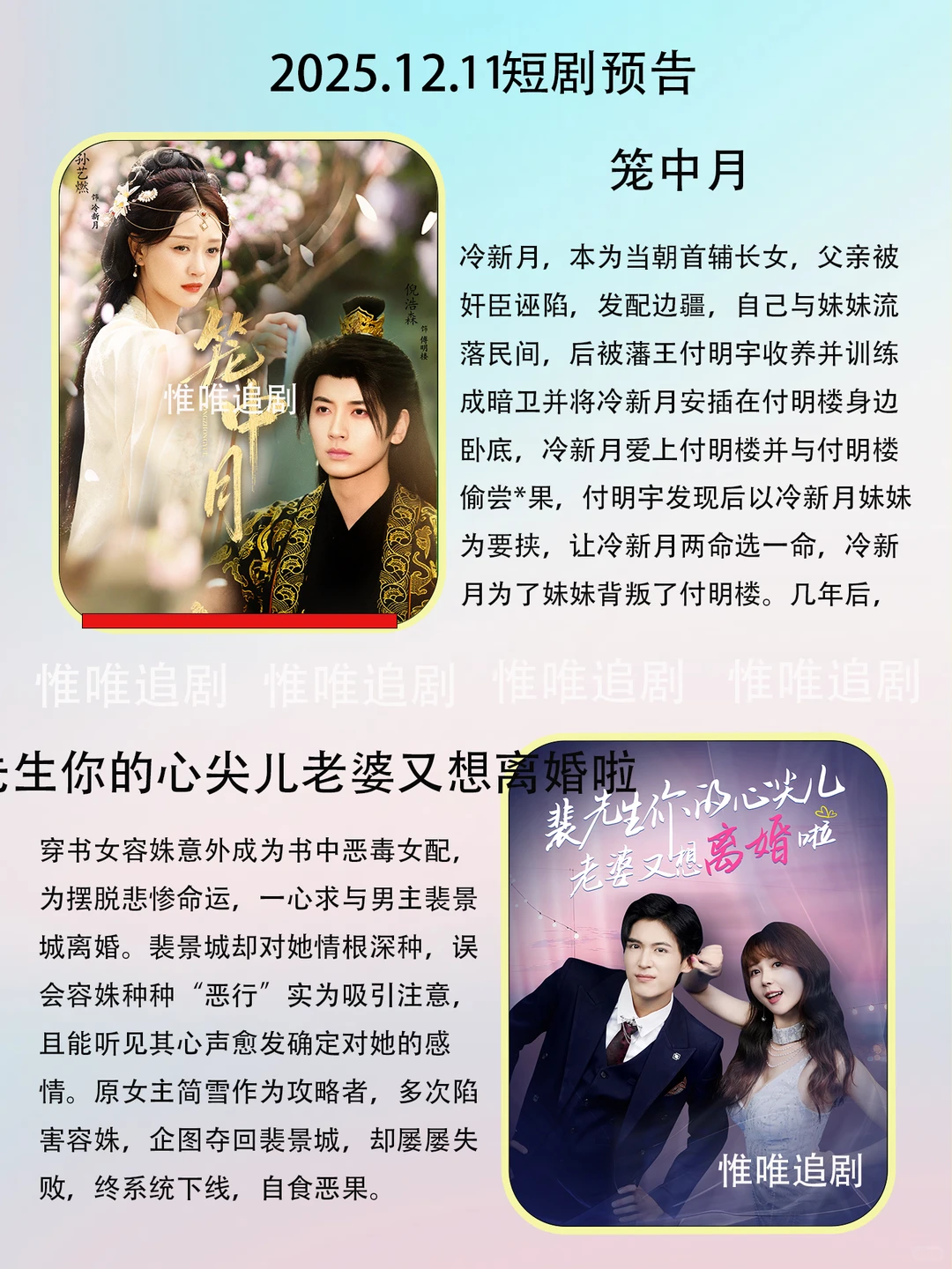 12月11短剧预告