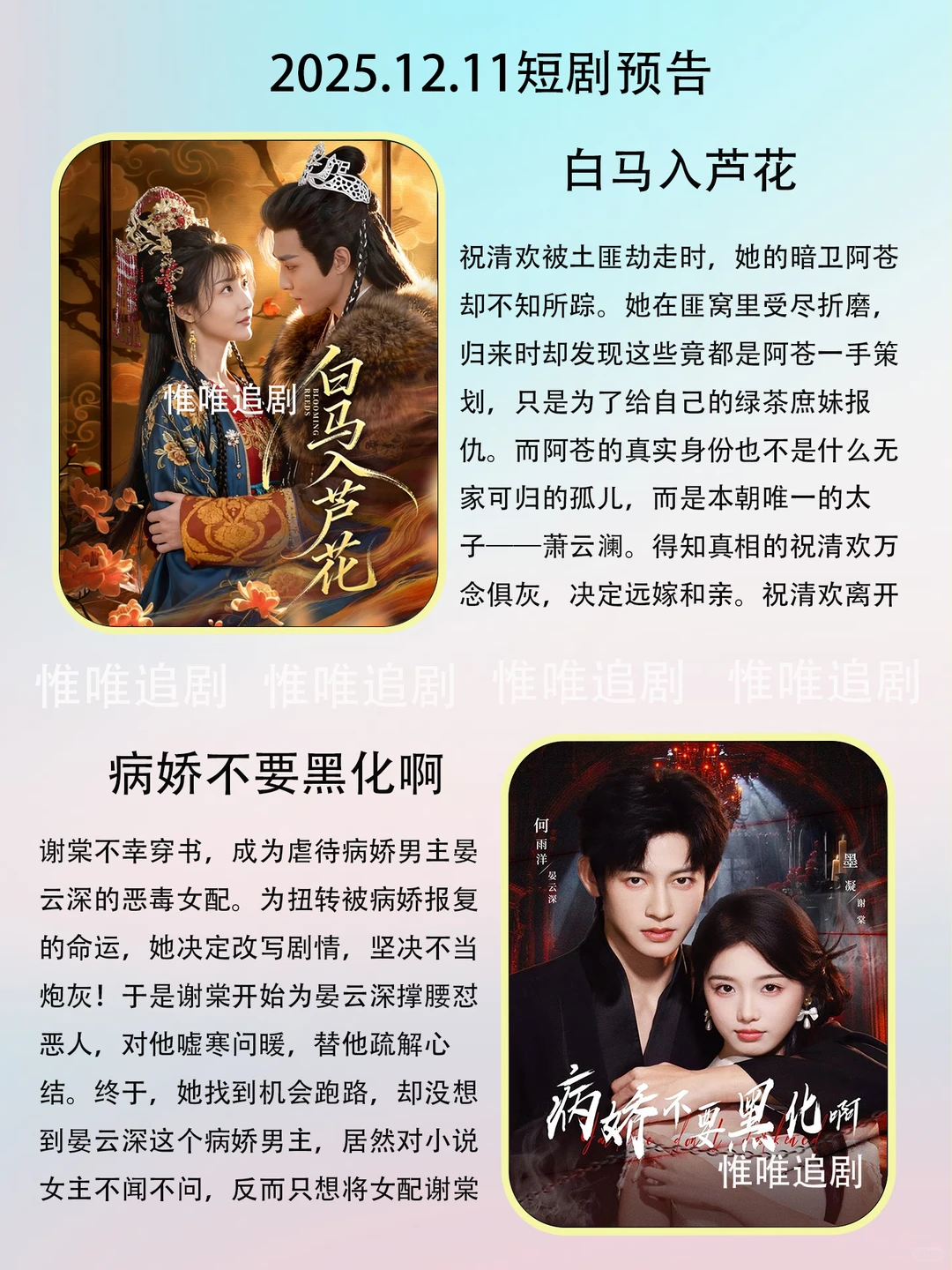 12月11短剧预告