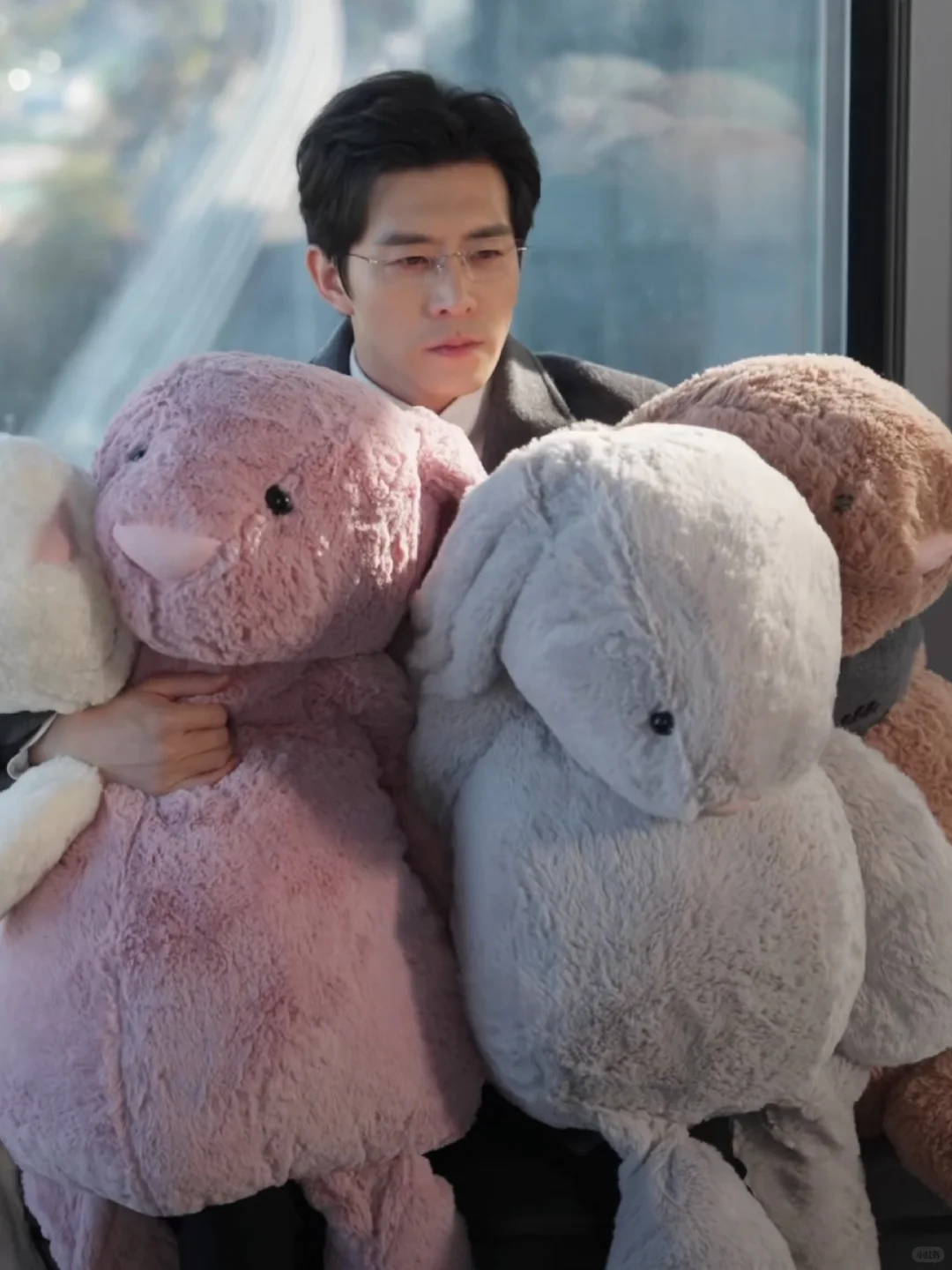 朝阳似我 看完回评