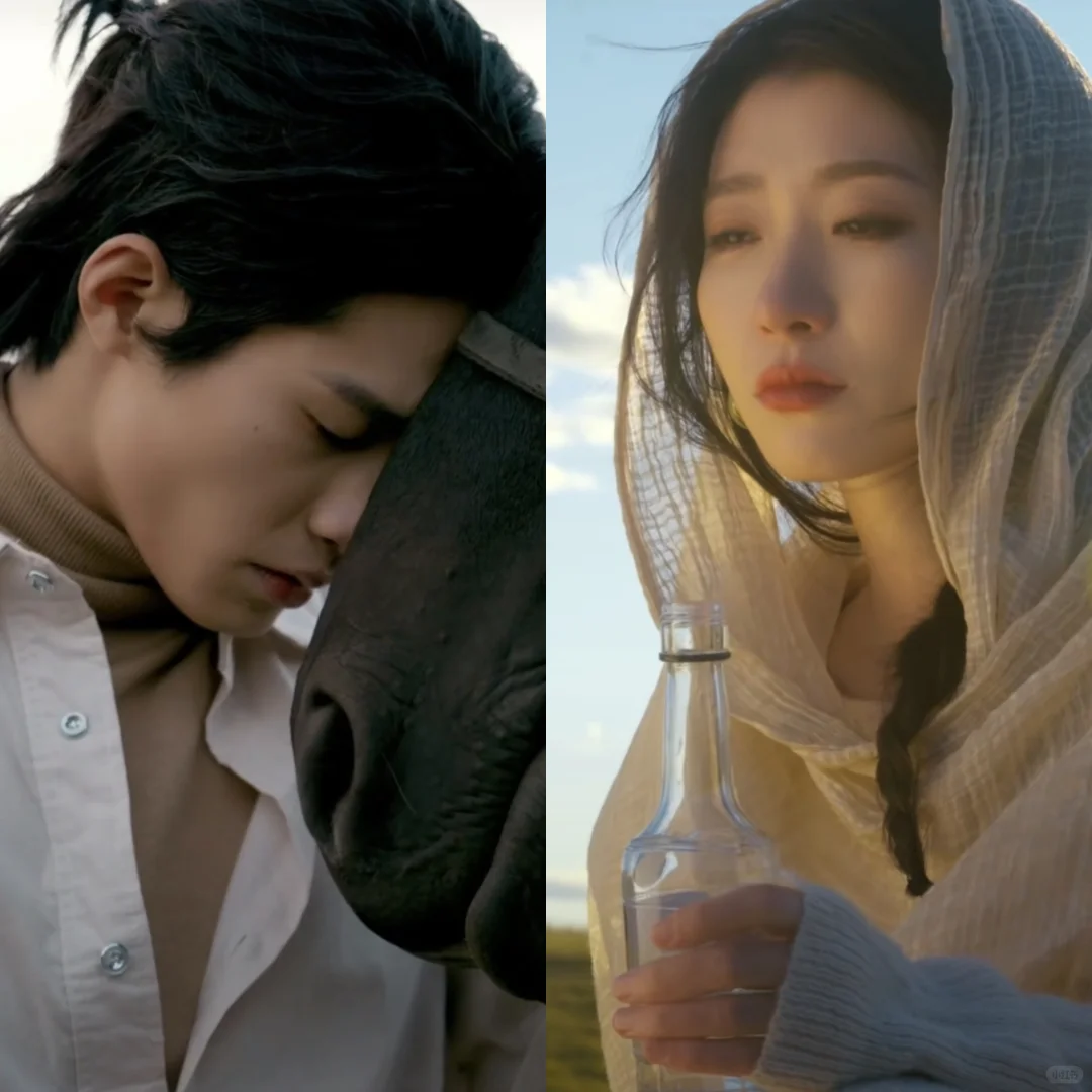 这部挺好,但我也能懂为什么不火