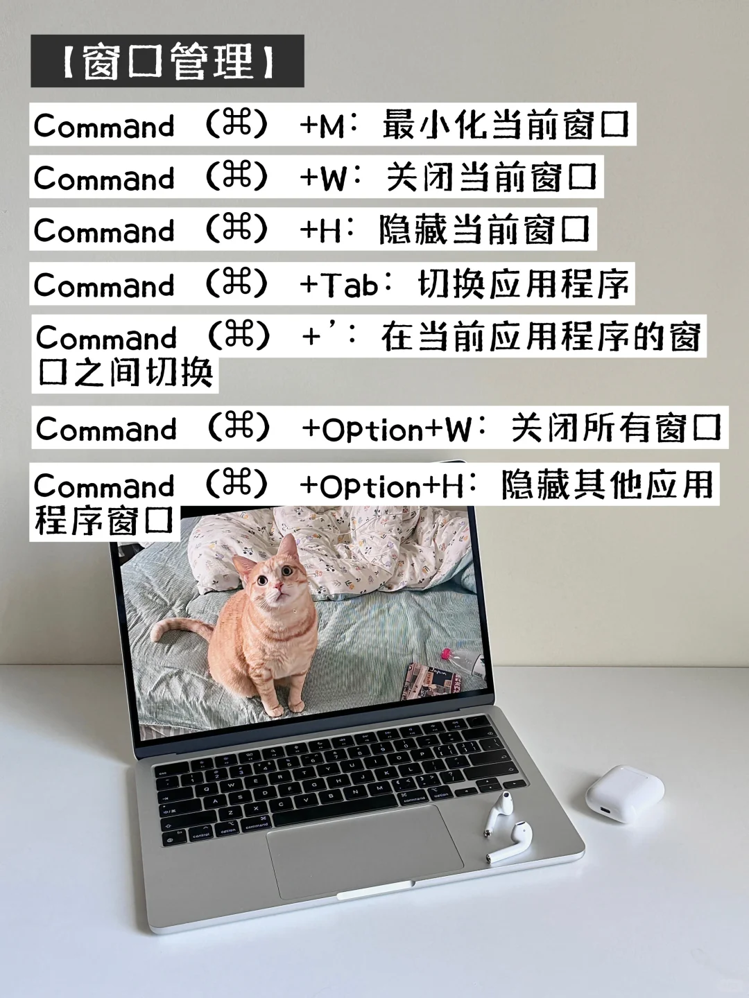 新买的MacBook不会用?跟我一起入门吧!